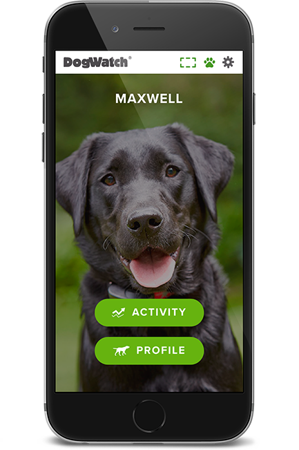 DogWatch of Southeast Indiana, Versailles, Indiana | SmartFence WebApp Image