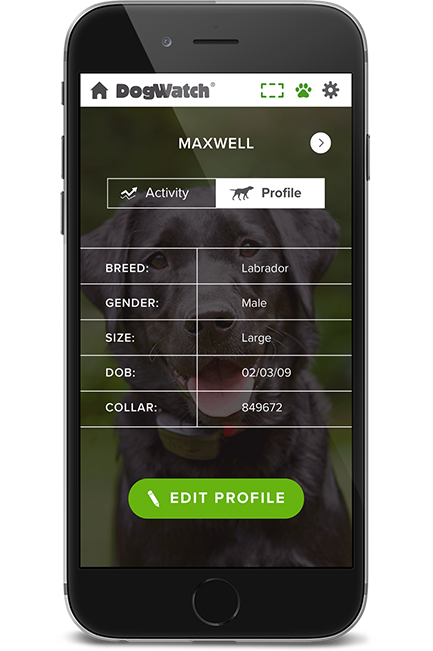 DogWatch of Southeast Indiana, Versailles, Indiana | SmartFence WebApp Image