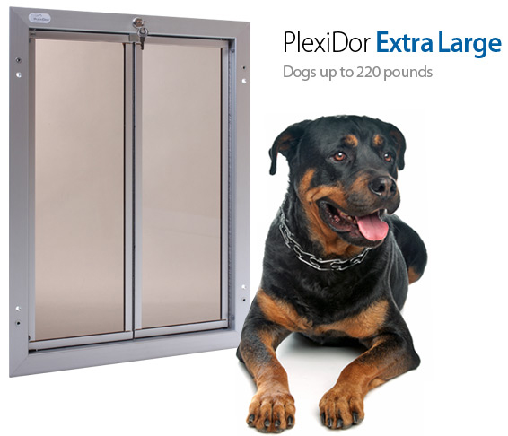 X-Large PlexiDor Wall Mount Pet Door Image